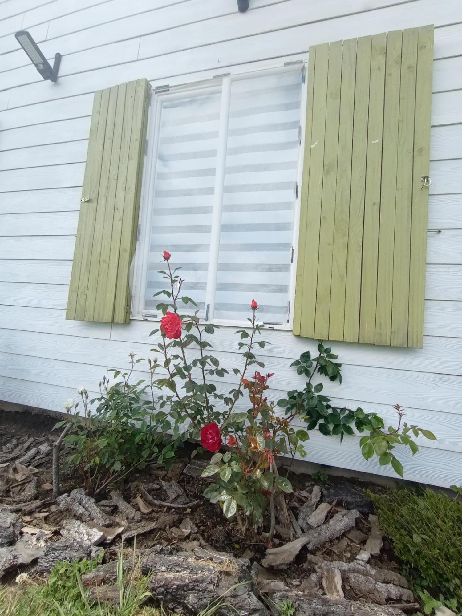Cabanas Aliwen Villa Nilque Bagian luar foto
